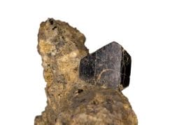 Augite