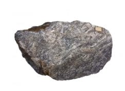 Baryum