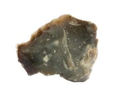 Cerejeira