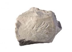 Kaolinite