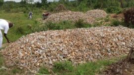 Usine de lavage d'or à quartzite 2TPH en Afrique
