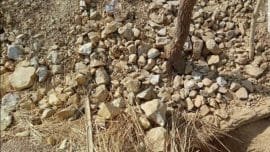 50TPH Gold Ore Mining Plant in Mali